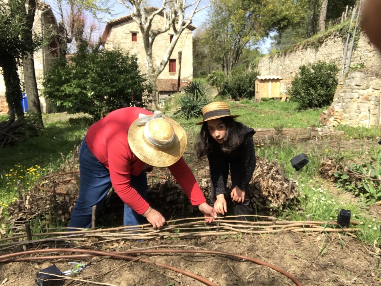 Bordure en plessis