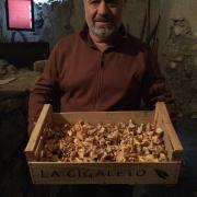 Xavier Girolles