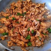 Plat girolles